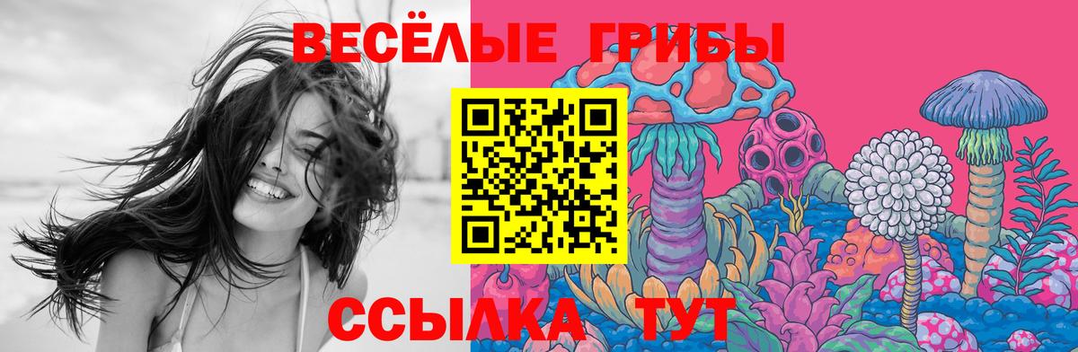 Галлюциногенные грибы мицелий  Вход с VPN  купить наркотик  Ипатово  Псилоцибиновые грибы мухоморы 